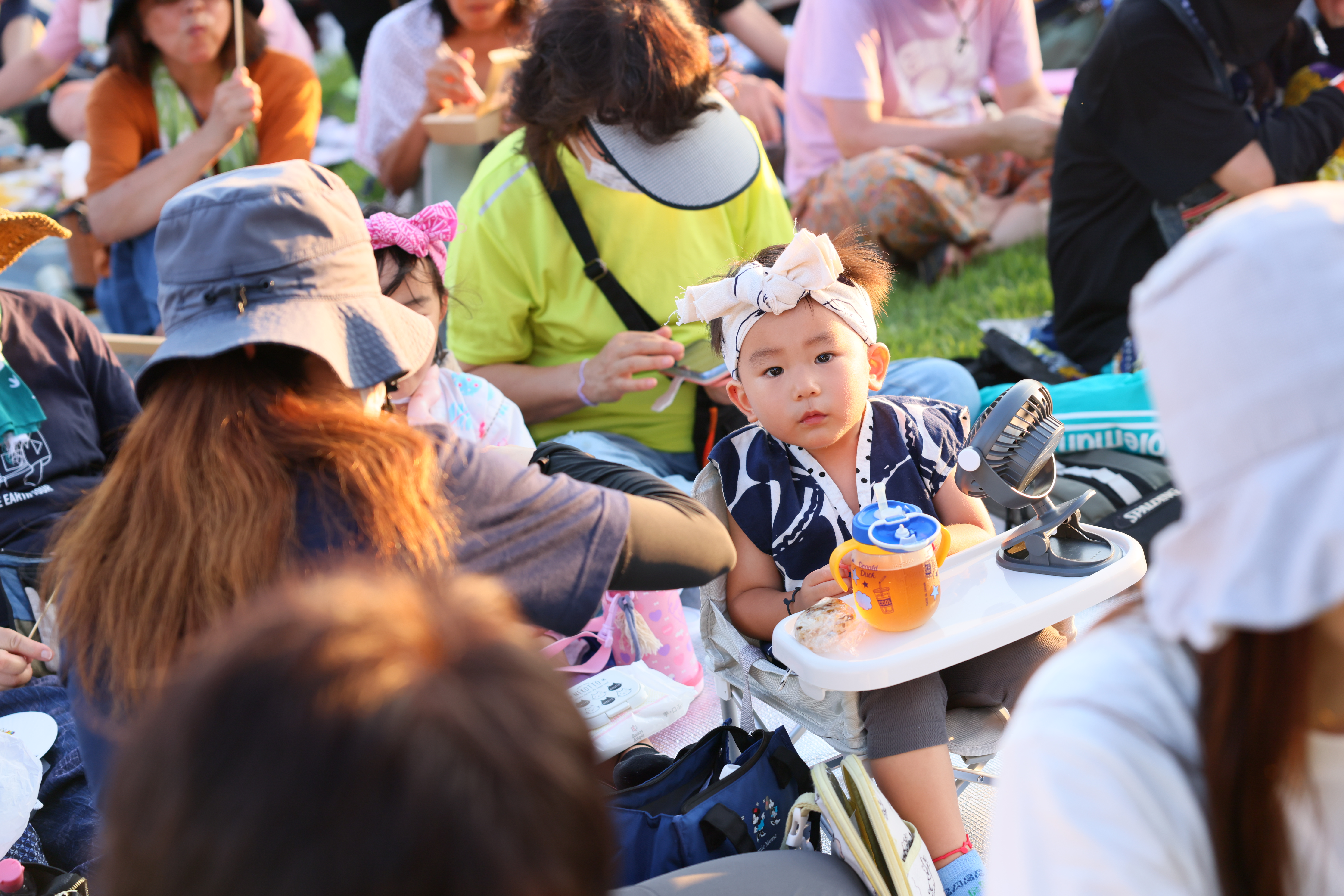 Harbour Concerts