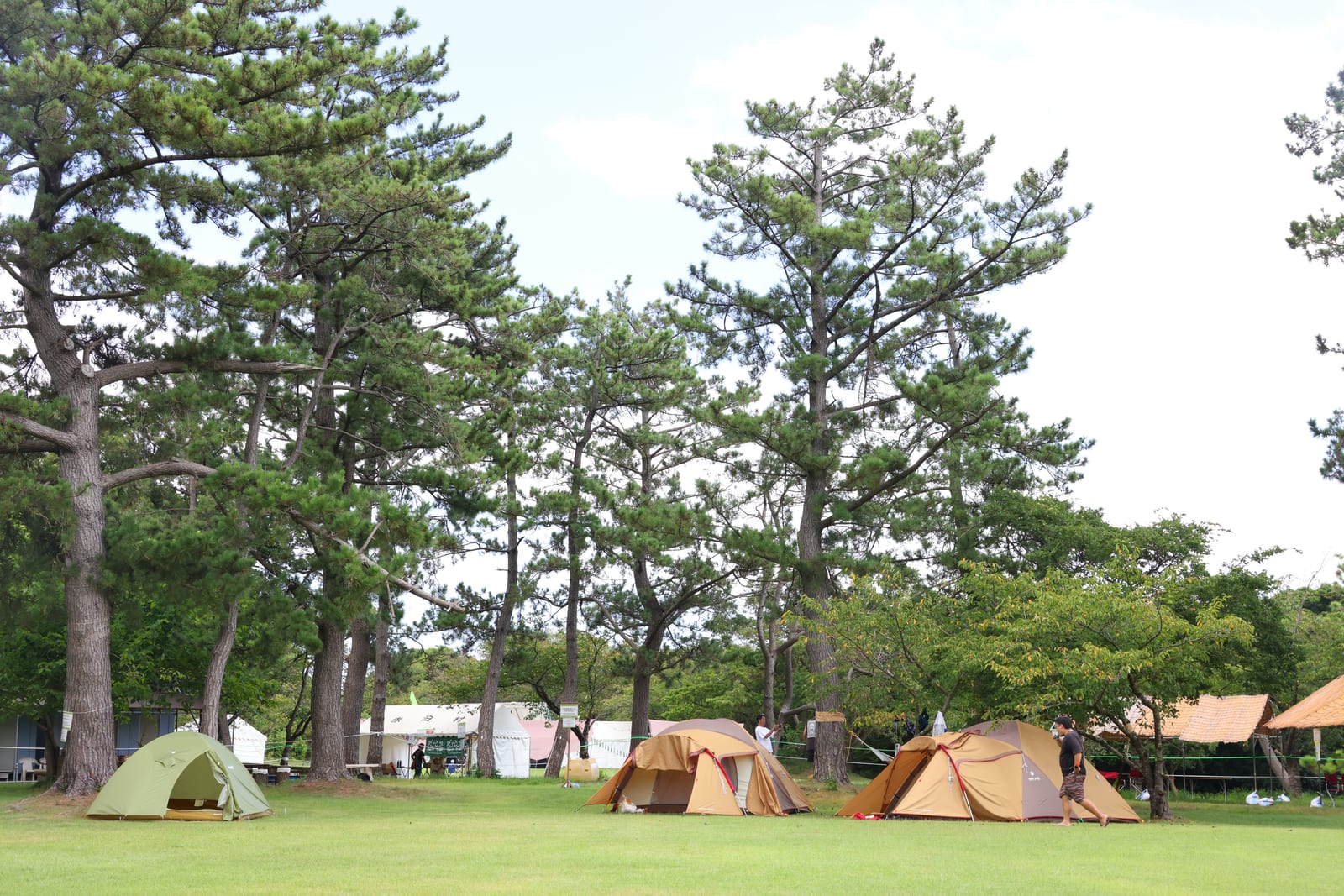 Shiroyama Pop-up Campsite‍