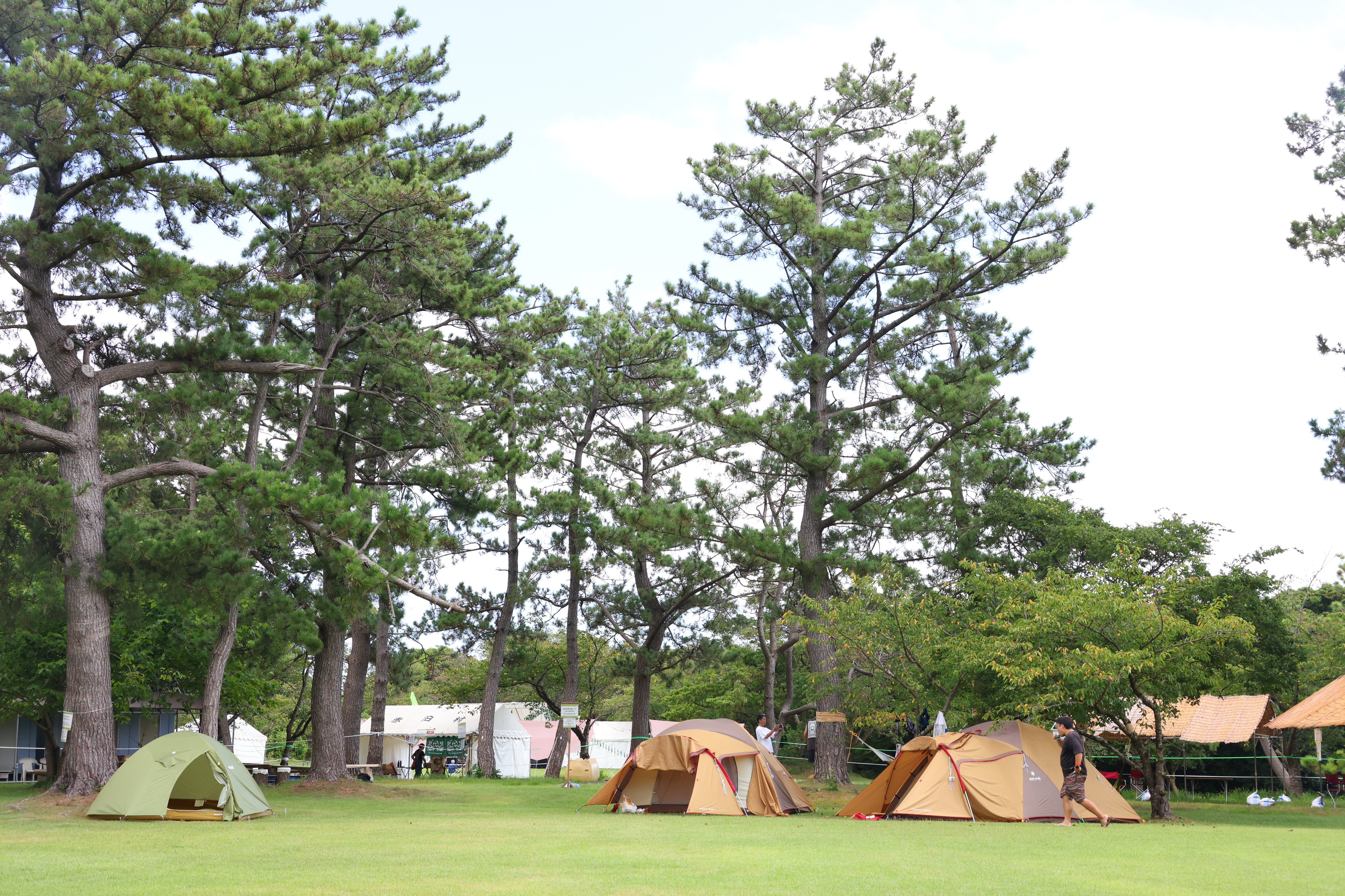 城山公園特設キャンプサイト