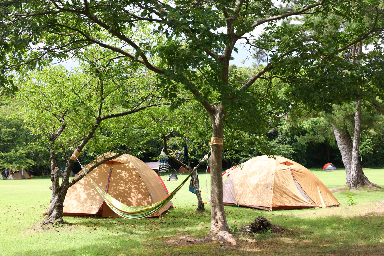 Shiroyama Park
