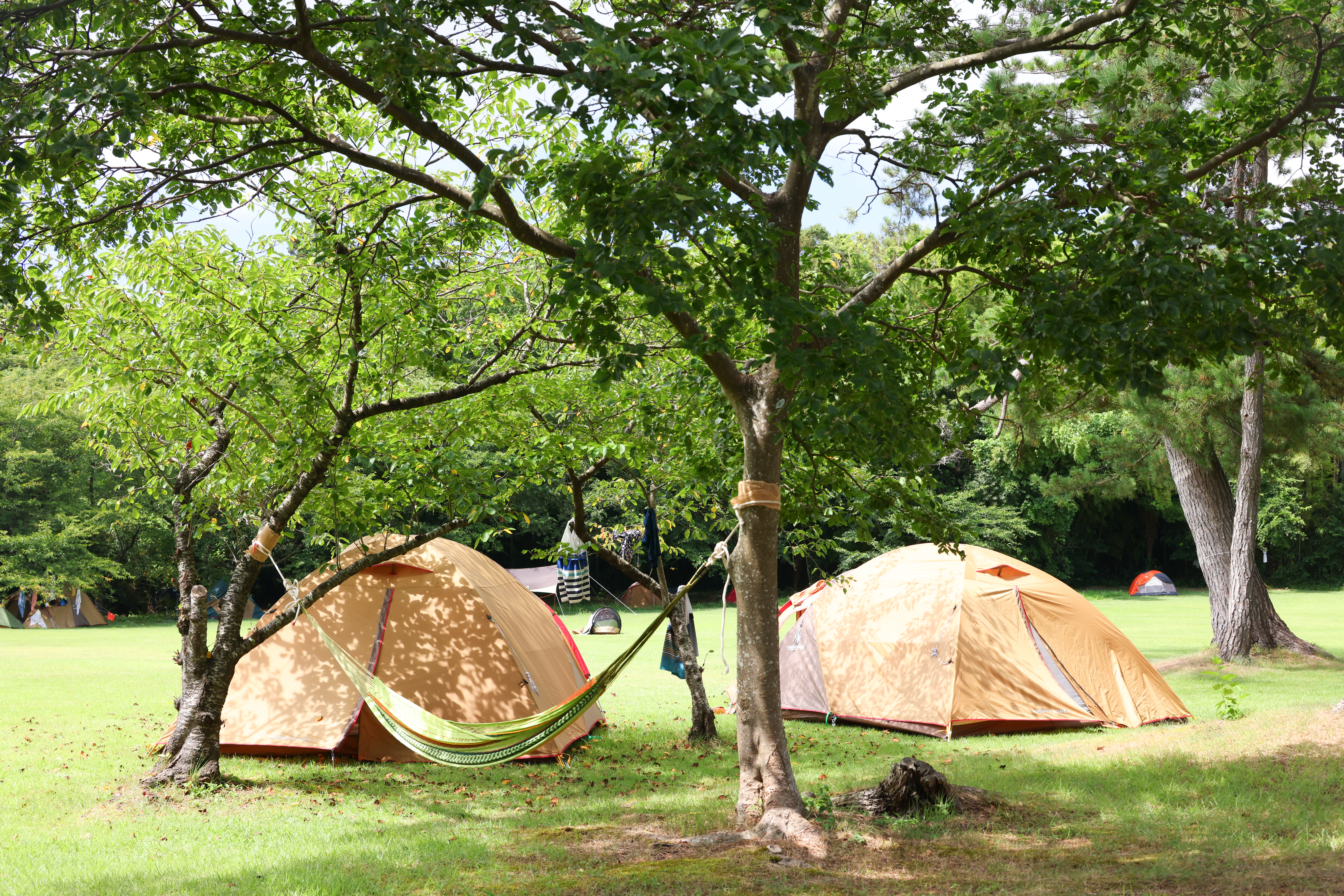 Shiroyama Park